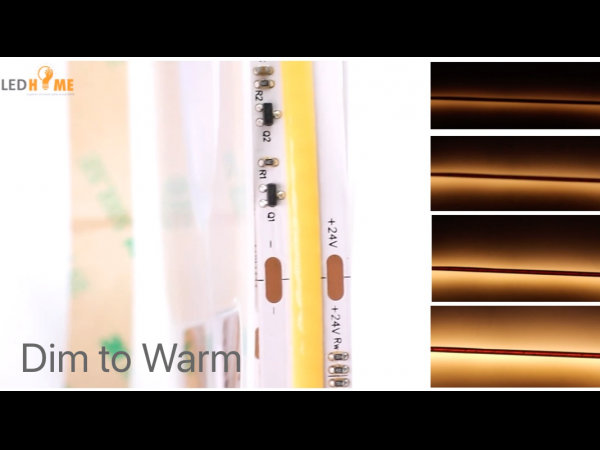Dim to Warm COB LED strip